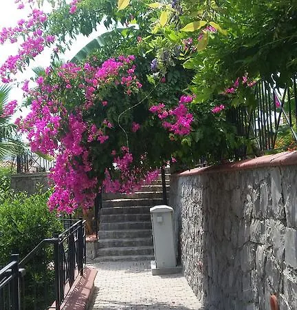 Teras Life Appartamento Göcek